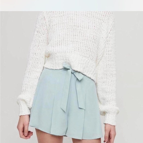 Aritzia Blue Shorts with Belt - Picture 2 of 5
